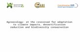 Agroecology: at the crossroad for adaptation to climate impacts, desertification reduction and biodiversity conservation.