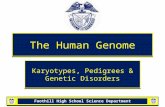 Foothill High School Science Department The Human Genome Karyotypes, Pedigrees & Genetic Disorders.