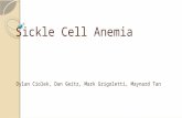 Sickle Cell Anemia Dylan Ciolek, Dan Geitz, Mark Grigoletti, Maynard Tan.