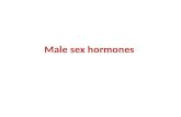 Male sex hormones. 2 1. Androgens Types: 1.Natural androgens: â€“ Androsterone and testosterone 2.Synthetic androgens: â€“ Testosterone propionate. â€“ Anabolic