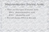 Macromolecules: Nucleic Acids n There are two types of nucleic acids: – DNA deoxyribonucleic acid – RNA ribonucleic acid n We will discuss DNA in this.