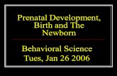 Prenatal Development, Birth and The Newborn Behavioral Science Tues, Jan 26 2006.