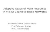 Adaptive Usage of Main Resources in MIMO-Cognitive Radio Networks Shalva Kvirkvelia (PHD student) Prof. Teimuraz Kortua Prof. Jemal Beridze.