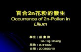 百合2n花粉的發生 Occurrence of 2n-Pollen in Lilium