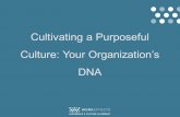 Cultivating a Purposeful Culture: Your Organizations DNA.