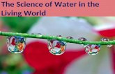 The Science of Water in the Living World. Water is a polar molecule. Polar Molecule: a molecule that has a slightly positive side and a slightly negative.