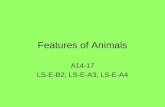 Features of Animals A14-17 LS-E-B2; LS-E-A3; LS-E-A4.