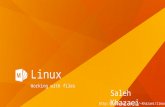 Linux Working with files Saleh Khazaei