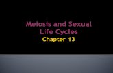 Meiosis and Sexual Life Cycles. Life is distinguished by the ability of organisms to reproduce their own kind. Genetics: the scientific study of heredity.