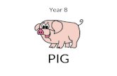 Year 8 PIG. Name 3 properties of metals Shiny, malleable, conductor of heat and electricity.