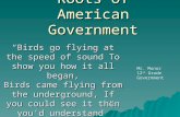 Roots of American Government Birds go flying at the speed of sound To show you how it all began, Birds came flying from the underground, If you could.