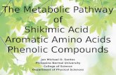 The Metabolic Pathway of Shikimic Acid Aromatic Amino Acids Phenolic Compounds Jan Michael O. Santos Philippine Normal University College of Science Department.