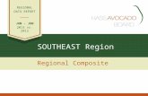 SOUTHEAST Region Regional Composite REGIONAL DATA REPORT JAN - JUN 2013 vs. 2012.