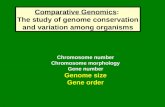 Comparative Genomics: The study of genome conservation and variation among organisms Chromosome number Chromosome morphology Gene number Genome size Gene.