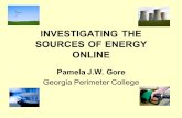 INVESTIGATING THE SOURCES OF ENERGY ONLINE Pamela J.W. Gore Georgia Perimeter College.
