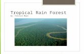 Tropical Rain Forest By: Patrick Mawn. Where are they located?  South America  Africa  Southeast Asia  Between the Tropic of Cancer and Tropic of.