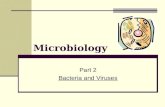 Microbiology Part 2 Bacteria and Viruses. Bacteria There are two main types of bacteria: Eubacteria (true bacteria) are found everywhere - in the air,