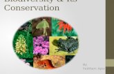Biodiversity  Its Conservation By Vaibhavi Apte.