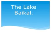 The Lake Baikal.. МБОУ Побединская СОШ Студеникина С.Ф.