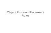 Object Pronoun Placement Rules. Reflexive Verbs A verb is REFLEXIVE when the _________ and the ____________ are the ____________. (The subject does something