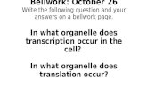Happy Monday! Bellwork: October 26 Write the following question and your answers on a bellwork page. In what organelle does transcription occur in the.