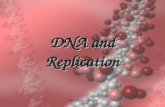 1 DNA and Replication copyright cmassengale. 2 History of DNA Early scientists thought protein was the cells hereditary material because it was more.