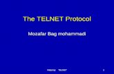 Netprog: TELNET1 The TELNET Protocol Mozafar Bag mohammadi.