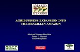 AGRIBUSINESS EXPANSION INTO THE BRAZILIAN AMAZON Maria del Carmen Vera Diaz Daniel C. Nepstad Robert Kaufmann.