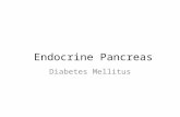 Endocrine Pancreas Diabetes Mellitus. Laboratory studies: - Diabetes is diagnosed by any one of three criteria 1. A random blood glucose concentration.