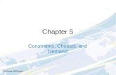 Chapter 5 Constraints, Choices, and Demand McGraw-Hill/Irwin.