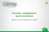 Fossils, adaptation and evolution Wheres the Science in that?