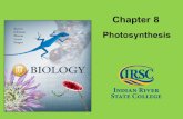 Chapter 8 Photosynthesis. Photosynthesis Overview Ultimate source of energy is the Sun and is captured by plants, algae, and bacteria through the process.