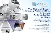 The National Cancer Imaging Archive (NCIA) In Action: An Introduction for Users A Tool Demonstration from caBIG Carl Jaffe, MD NCI-Cancer Imaging Program.