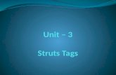 Struts Tags Classification of Struts Tags are: Form tags. Control tags. Data tags. Ajax tags