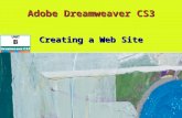 Adobe Dreamweaver CS3 Creating a Web Site. Planning a Web Site Research site goals and needsResearch site goals and needs Create a storyboardCreate a.