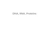 DNA, RNA, Proteins. Nucleic Acids: Information Molecules DNA  Sugar Deoxyribose  Nitrogenous Bases Adenine Guanine Cytosine Thymine RNA  Sugar Ribose.