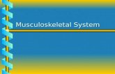Musculoskeletal System. 2 Contents Introduction Functions of the skeleton Divisions of skeleton Axial skeleton Appendicular skeleton Bone structure Joints.