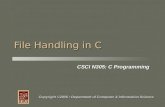 CSCI N305: C Programming Copyright ©2006  Department of Computer & Information Science File Handling…