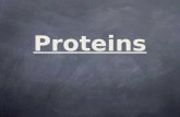 Proteins. Proteins Do Everything!! Proteins All proteins are polymers of amino acids. There are only