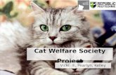 Cat Welfare Society Project Vicki, Ili, Pearlyn, Kelley.