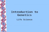 Introduction to Genetics Life Science. Traits survey Why causes these differences?