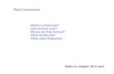 Plant hormones What is a hormone? How do they work?