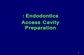 012. access cavity preparation