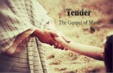 Sermon: Gospel of Mark -- Tender