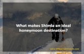 What makes shimla an ideal honeymoon destination