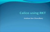 Calico using rkt