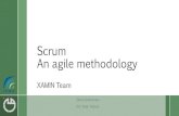 Scrum an Agile Methodology