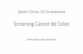 Screening cáncer de colon