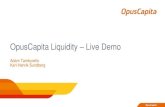 Live demo: OpusCapita Liquidity