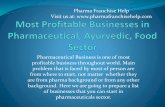 Most profitable businesses in pharmaceutical, ayurvedic, food sector